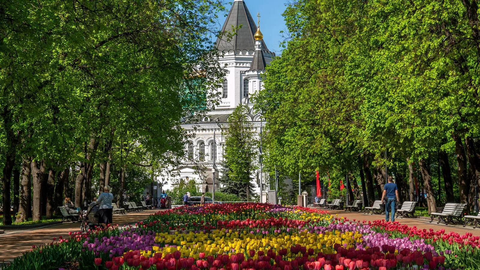 Цветники сквера Девичьего поля